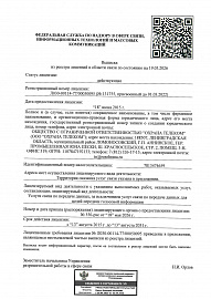 Лицензия на услуги связи по передаче данных